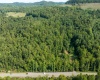 TBD Elk Creek Road, Philippi, West Virginia 26416, ,Lots/land,For Sale,Elk Creek,10155976