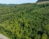 TBD Elk Creek Road, Philippi, West Virginia 26416, ,Lots/land,For Sale,Elk Creek,10155976