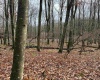 Lots 81 & 82 Aster Drive, Terra Alta, West Virginia 26764, ,Lots/land,For Sale,Aster,10157236