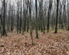 Lots 81 & 82 Aster Drive, Terra Alta, West Virginia 26764, ,Lots/land,For Sale,Aster,10157236