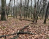 Lots 81 & 82 Aster Drive, Terra Alta, West Virginia 26764, ,Lots/land,For Sale,Aster,10157236