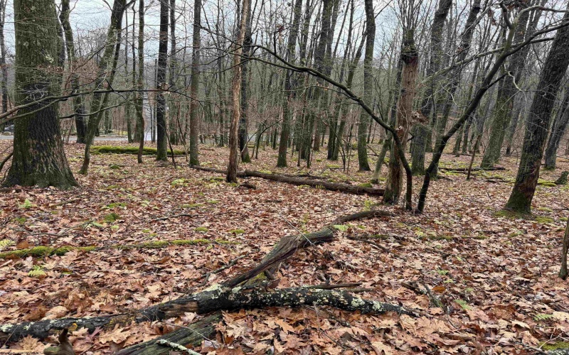 Lots 81 & 82 Aster Drive, Terra Alta, West Virginia 26764, ,Lots/land,For Sale,Aster,10157236