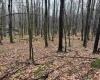 Lots 81 & 82 Aster Drive, Terra Alta, West Virginia 26764, ,Lots/land,For Sale,Aster,10157236