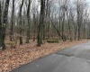 Lots 81 & 82 Aster Drive, Terra Alta, West Virginia 26764, ,Lots/land,For Sale,Aster,10157236