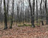 Lots 81 & 82 Aster Drive, Terra Alta, West Virginia 26764, ,Lots/land,For Sale,Aster,10157236