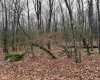 Lots 81 & 82 Aster Drive, Terra Alta, West Virginia 26764, ,Lots/land,For Sale,Aster,10157236