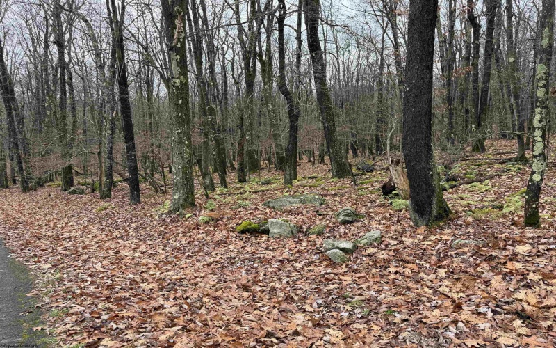 Lots 81 & 82 Aster Drive, Terra Alta, West Virginia 26764, ,Lots/land,For Sale,Aster,10157236