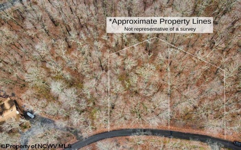 Lots 81 & 82 Aster Drive, Terra Alta, West Virginia 26764, ,Lots/land,For Sale,Aster,10157236