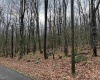 Lots 81 & 82 Aster Drive, Terra Alta, West Virginia 26764, ,Lots/land,For Sale,Aster,10157236