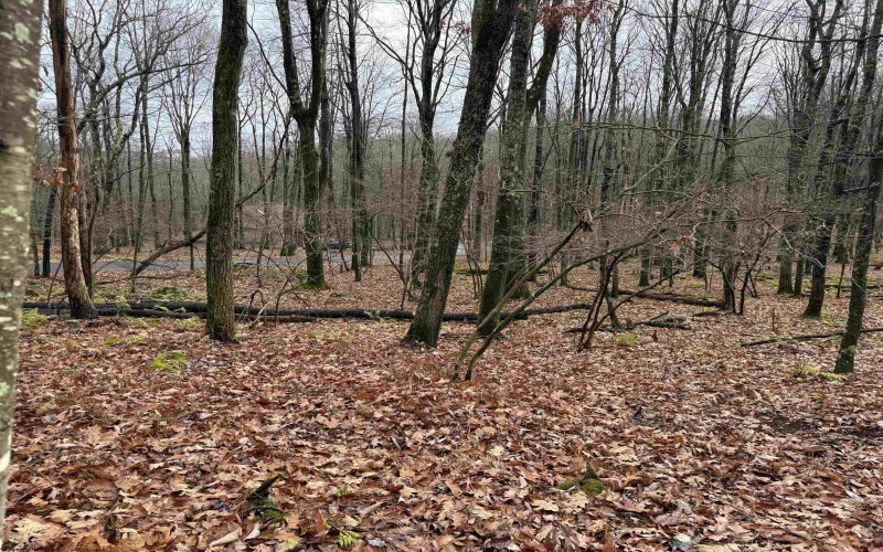 Lots 81 & 82 Aster Drive, Terra Alta, West Virginia 26764, ,Lots/land,For Sale,Aster,10157236