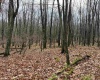 Lots 81 & 82 Aster Drive, Terra Alta, West Virginia 26764, ,Lots/land,For Sale,Aster,10157236