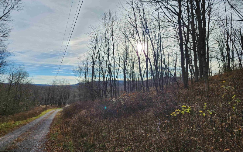 Lot 4 High Mountain Road, Harman, West Virginia 26270, ,Lots/land,For Sale,High Mountain,10157249