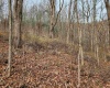 Lot 4 High Mountain Road, Harman, West Virginia 26270, ,Lots/land,For Sale,High Mountain,10157249