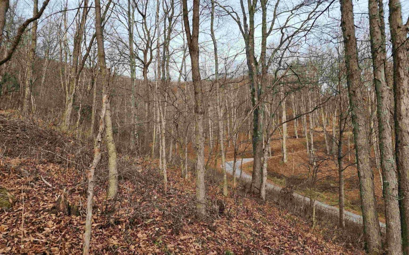 Lot 4 High Mountain Road, Harman, West Virginia 26270, ,Lots/land,For Sale,High Mountain,10157249