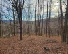 Lot 4 High Mountain Road, Harman, West Virginia 26270, ,Lots/land,For Sale,High Mountain,10157249