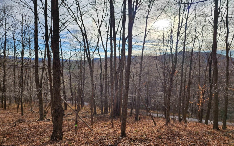 Lot 4 High Mountain Road, Harman, West Virginia 26270, ,Lots/land,For Sale,High Mountain,10157249