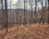 Lot 4 High Mountain Road, Harman, West Virginia 26270, ,Lots/land,For Sale,High Mountain,10157249