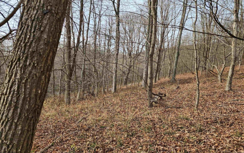 Lot 4 High Mountain Road, Harman, West Virginia 26270, ,Lots/land,For Sale,High Mountain,10157249