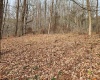 Lot 4 High Mountain Road, Harman, West Virginia 26270, ,Lots/land,For Sale,High Mountain,10157249