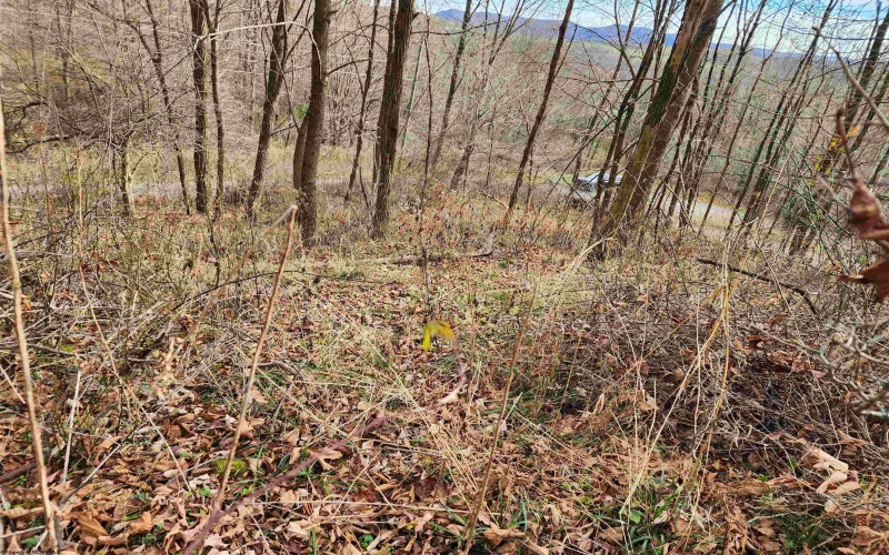 Lot 4 High Mountain Road, Harman, West Virginia 26270, ,Lots/land,For Sale,High Mountain,10157249