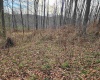 Lot 4 High Mountain Road, Harman, West Virginia 26270, ,Lots/land,For Sale,High Mountain,10157249