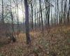 Lot 4 High Mountain Road, Harman, West Virginia 26270, ,Lots/land,For Sale,High Mountain,10157249