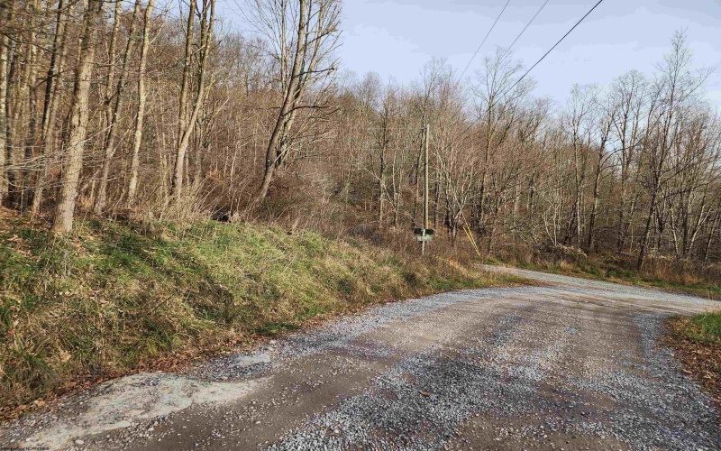 Lot 4 High Mountain Road, Harman, West Virginia 26270, ,Lots/land,For Sale,High Mountain,10157249