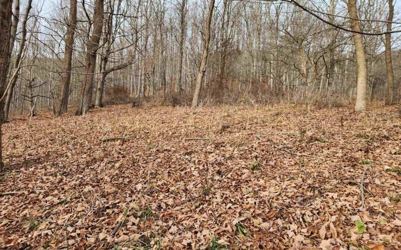 Lot 4 High Mountain Road, Harman, West Virginia 26270, ,Lots/land,For Sale,High Mountain,10157249