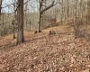 Lot 4 High Mountain Road, Harman, West Virginia 26270, ,Lots/land,For Sale,High Mountain,10157249