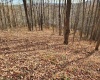 Lot 4 High Mountain Road, Harman, West Virginia 26270, ,Lots/land,For Sale,High Mountain,10157249