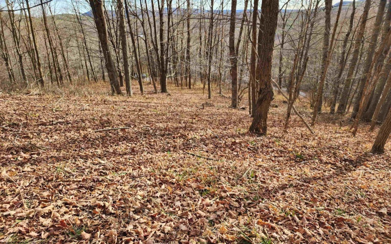 Lot 4 High Mountain Road, Harman, West Virginia 26270, ,Lots/land,For Sale,High Mountain,10157249