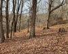 Lot 4 High Mountain Road, Harman, West Virginia 26270, ,Lots/land,For Sale,High Mountain,10157249