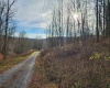 Lot 4 High Mountain Road, Harman, West Virginia 26270, ,Lots/land,For Sale,High Mountain,10157249