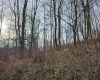 Lot 4 High Mountain Road, Harman, West Virginia 26270, ,Lots/land,For Sale,High Mountain,10157249