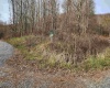 Lot 4 High Mountain Road, Harman, West Virginia 26270, ,Lots/land,For Sale,High Mountain,10157249