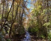 2453 Channel Road, Mill Creek, West Virginia 26280, ,Lots/land,For Sale,Channel,10157262