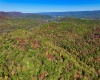 2453 Channel Road, Mill Creek, West Virginia 26280, ,Lots/land,For Sale,Channel,10157262