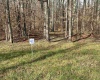 Lot 41 Winterset Drive, Davis, West Virginia 26260, ,Lots/land,For Sale,Winterset,10157254