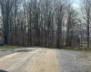 Lot 41 Winterset Drive, Davis, West Virginia 26260, ,Lots/land,For Sale,Winterset,10157254