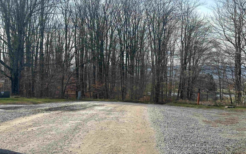 Lot 41 Winterset Drive, Davis, West Virginia 26260, ,Lots/land,For Sale,Winterset,10157254