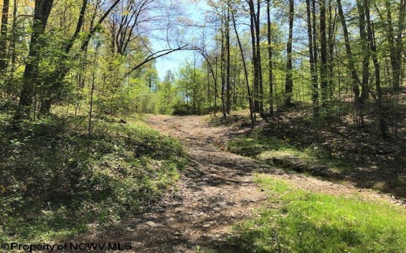 TBD Berry Patch Lane, Elkins, West Virginia 26241, ,Lots/land,For Sale,Berry Patch,10154039