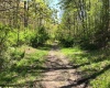 TBD Berry Patch Lane, Elkins, West Virginia 26241, ,Lots/land,For Sale,Berry Patch,10154039