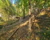 0 Hillcrest Drive, Fairmont, West Virginia 26554, ,Lots/land,For Sale,Hillcrest,10157279