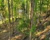 0 Hillcrest Drive, Fairmont, West Virginia 26554, ,Lots/land,For Sale,Hillcrest,10157279