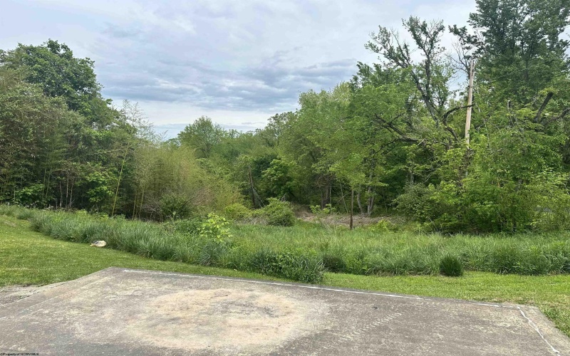1168 Boulevard Avenue, Fairmont, West Virginia 26554, ,Lots/land,For Sale,Boulevard,10128532