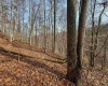 797 Big Elk Road, Wallace, West Virginia 26448, ,Lots/land,For Sale,Big Elk,10157322