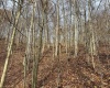 797 Big Elk Road, Wallace, West Virginia 26448, ,Lots/land,For Sale,Big Elk,10157322