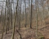 797 Big Elk Road, Wallace, West Virginia 26448, ,Lots/land,For Sale,Big Elk,10157322