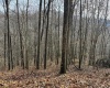 797 Big Elk Road, Wallace, West Virginia 26448, ,Lots/land,For Sale,Big Elk,10157322