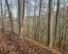 797 Big Elk Road, Wallace, West Virginia 26448, ,Lots/land,For Sale,Big Elk,10157322